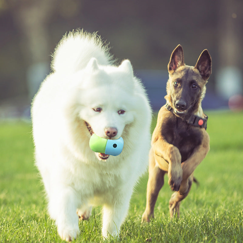 New 2 In 1 Dog Leakage Toy Ball Silicone