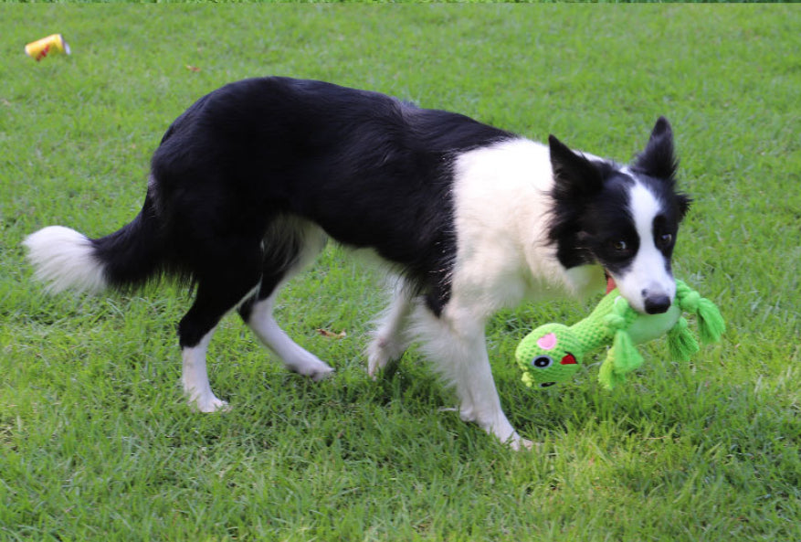 Bite Resistant Pet Dog Toy