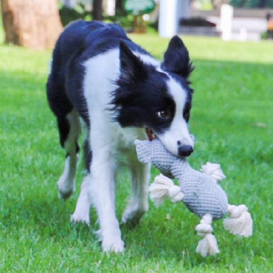 Bite Resistant Pet Dog Toy